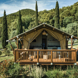 safari wood