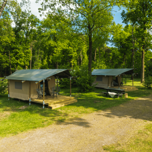 Wood Lodge Junior gallery